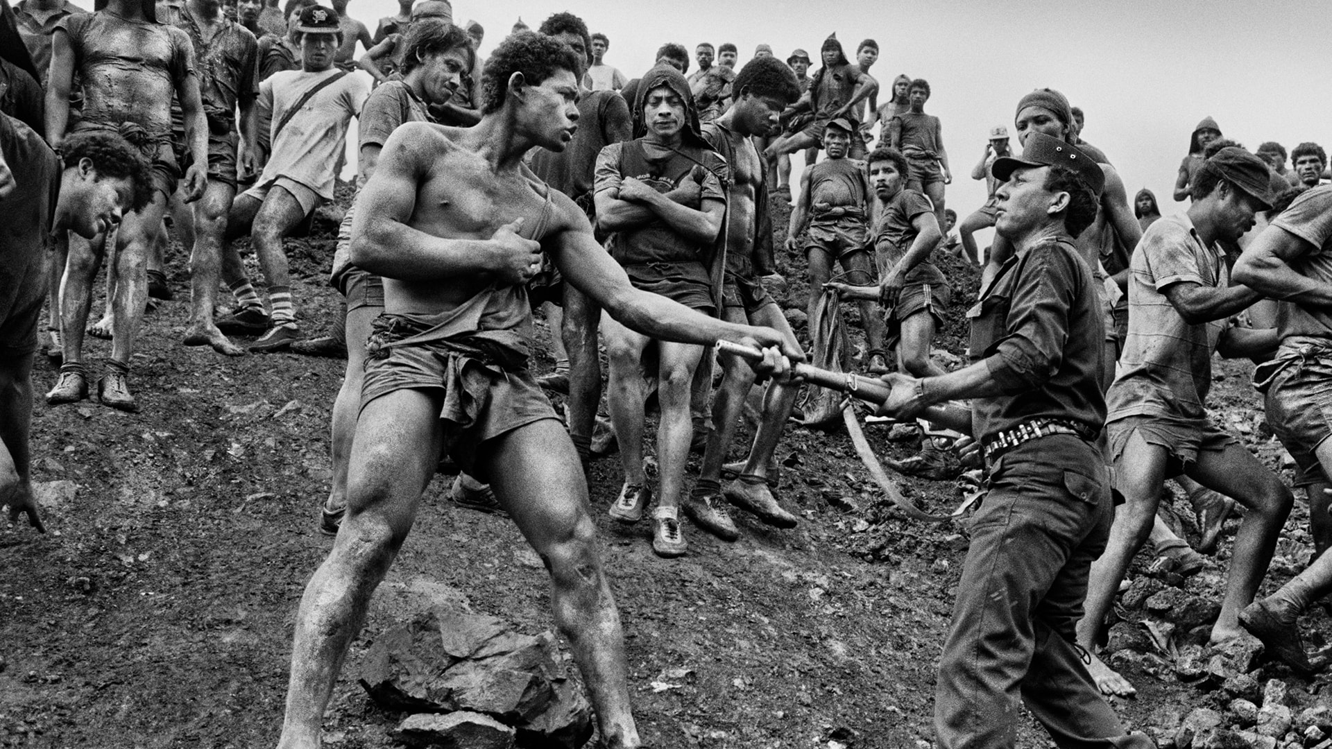 Toprağın Tuzu  görsel 3